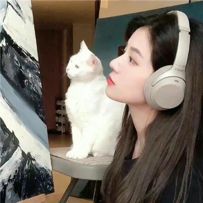 非洲大猫